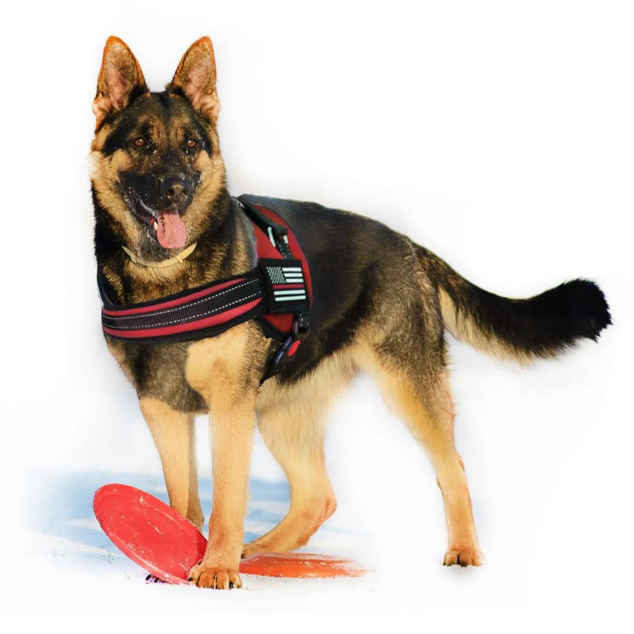 https://www.gun-ammo.com/wp-content/uploads/A0004/gunsphoto-2/copsplus-3/tbl-dog-harn-trl-kit__77814.1753892197.jpg
